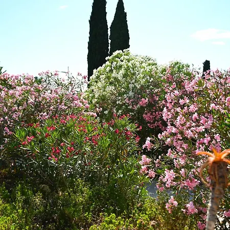 Les Jardins De Bormes, Sauna & Jacuzzi ホテル