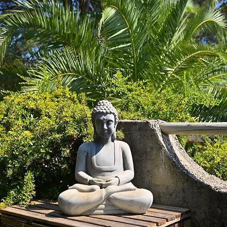Les Jardins De Bormes, Sauna & Jacuzzi ホテル ボルム・レ・ミモザ
