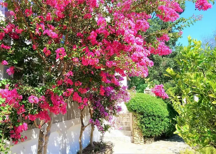 Les Jardins De Bormes, Adult Only Avec Sauna & Jacuzzi ホテル ボルム・レ・ミモザ