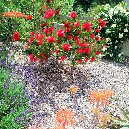 Les Jardins De Hotel 3*