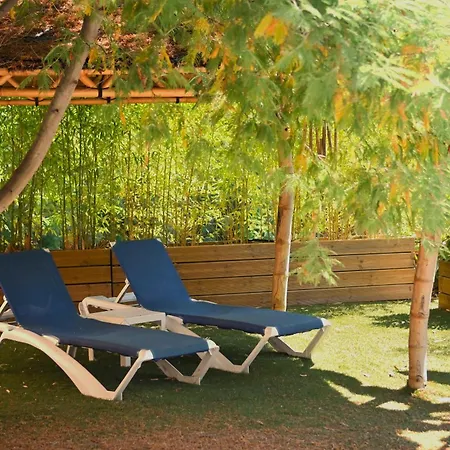 Les Jardins De Bormes, De Charme Et Detente, Espace Bien-etre Avec Sauna & Jacuzzi - Adult Only 3*