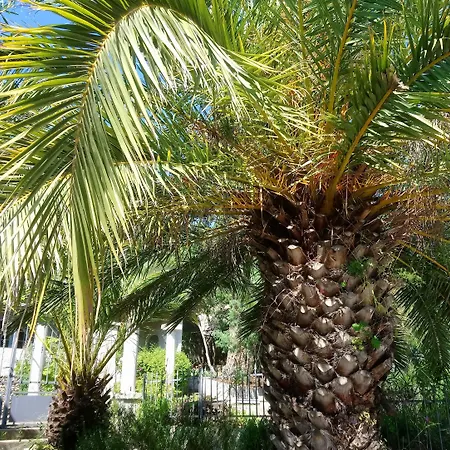 Les Jardins De Bormes, De Charme Et Detente, Espace Bien-etre Avec Sauna & Jacuzzi - Adult Only Otel Bormes-les-Mimosas