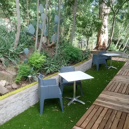 Les Jardins De Bormes, De Charme Et Detente, Espace Bien-etre Avec Sauna & Jacuzzi - Adult Only 3*