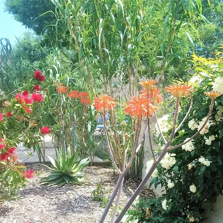 Otel Les Jardins De Bormes, De Charme Et Detente, Espace Bien-etre Avec Sauna & Jacuzzi - Adult Only 3*
