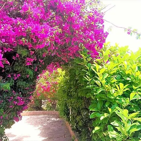 فندق Les Jardins De Bormes, Adult Only Avec Piscine, Jacuzzi Et Sauna 3*