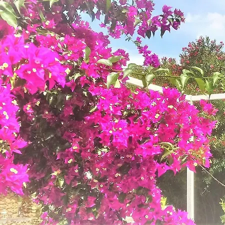 Les Jardins De 3*
