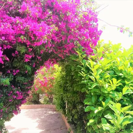 Les Jardins De 3*