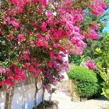 Les Jardins De Hotel Bormes-les-Mimosas
