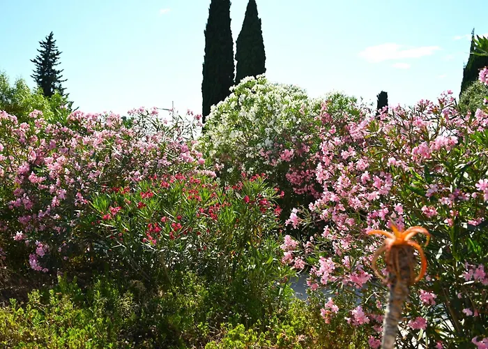 Les Jardins De Bormes, Adult Only Avec Sauna & Jacuzzi Hotel