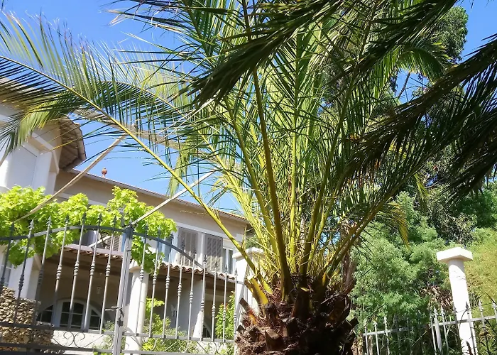 Les Jardins De Bormes, Adult Only Avec Sauna & Jacuzzi Bormes-les-Mimosas