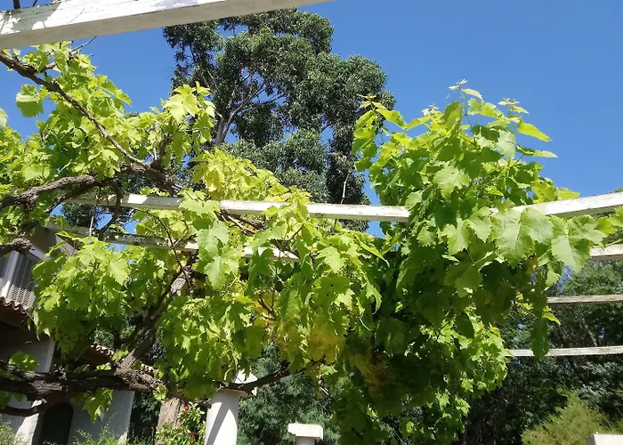 Les Jardins De Bormes, Adult Only Avec Sauna & Jacuzzi 3* Bormes-les-Mimosas