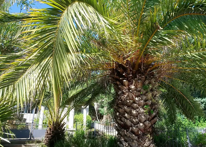 Les Jardins De Bormes, Adult Only Avec Sauna & Jacuzzi Hotel Bormes-les-Mimosas