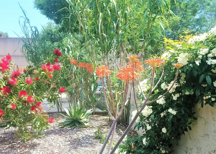 Hotel Les Jardins De Bormes, Adult Only Avec Sauna & Jacuzzi 3*